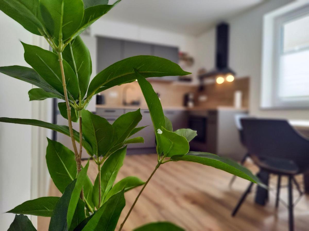 Hygge Home - Mit Garten Und Stellplatz Fuer Feriengaeste-, Monteure / Netflix / 10 Min. Zur Sinsheim Therme Und Zur Autobahn Luaran gambar