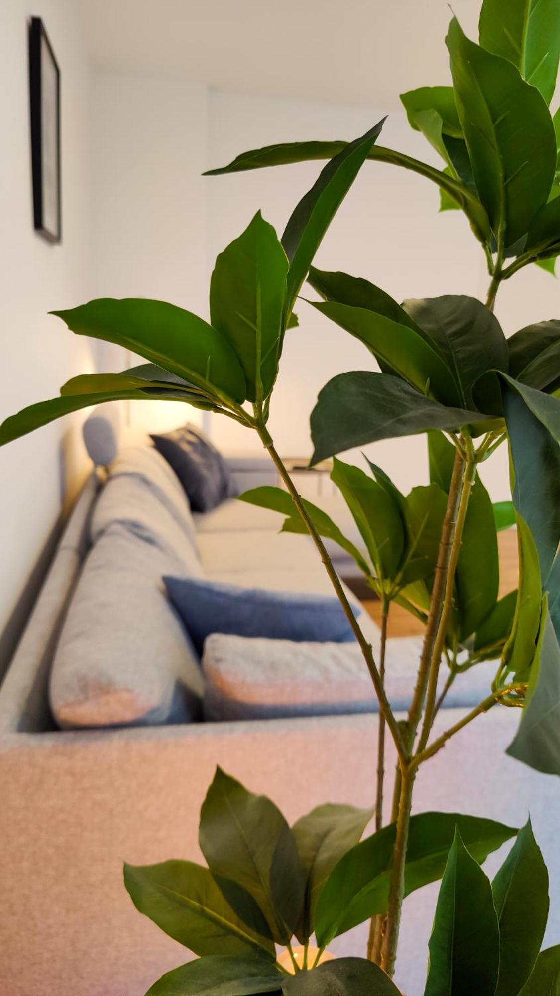 Hygge Home - Mit Garten Und Stellplatz Fuer Feriengaeste-, Monteure / Netflix / 10 Min. Zur Sinsheim Therme Und Zur Autobahn Luaran gambar